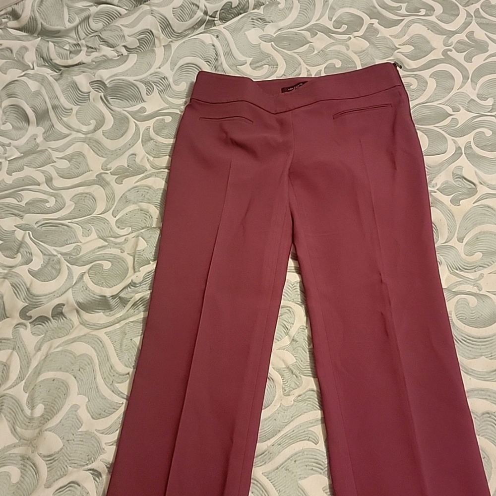Ann Taylor ankle length side zip pants